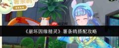 崩坏因缘精灵薯条鸥怎么搭配薯条鸥搭配攻略