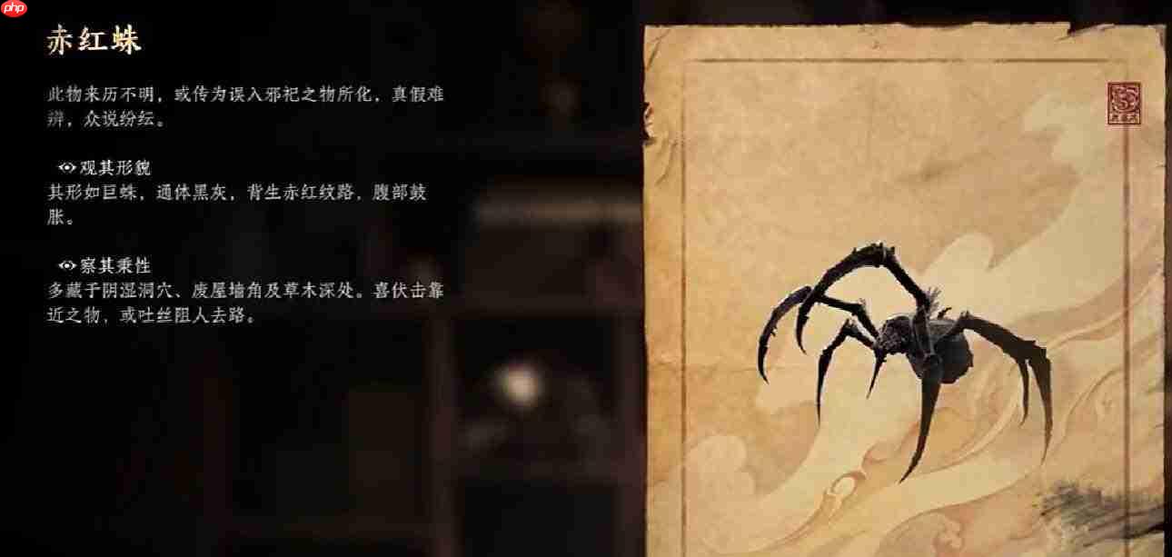 诡影藏锋中的赤红蛛表现如何及详细介绍