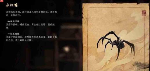 诡影藏锋中的赤红蛛表现如何及详细介绍