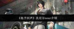 他给予回声:沈尼尔near如何?沈尼尔near简介