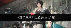 他给予回声：沈尼尔near如何？沈尼尔near简介