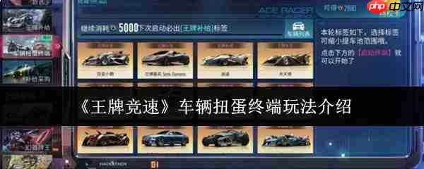 王牌竞速车辆扭蛋终端玩法详解