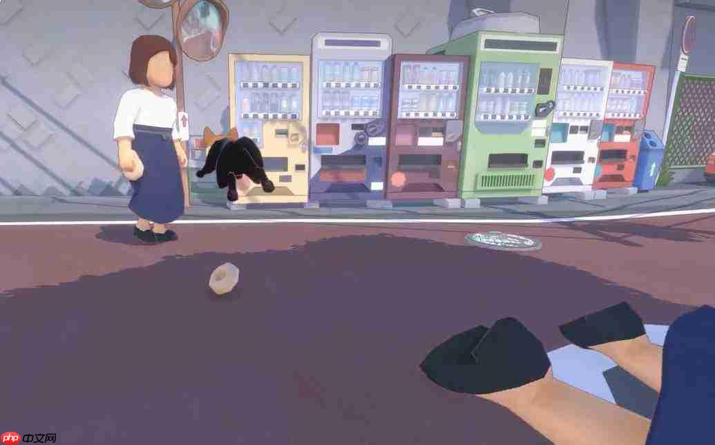 小猫咪所在大城市中贝果位置全览