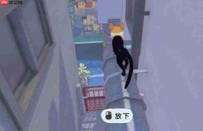 小猫咪所在大城市中贝果位置全览