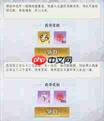 仙界大掌门九州事务怎么玩