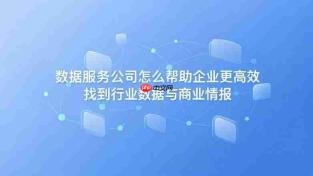 数据服务公司怎么帮助企业更高效找到行业数据与商业情报