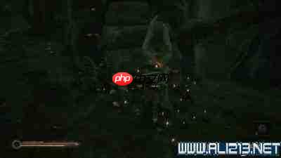 致命躯壳2爆发之石怎么获取有什么用