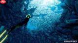 海洋生态系统中含能量最多的生物类群是什么