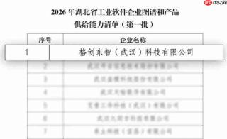 入选湖北省工业软件企业图谱和产品供给能力清单，再展工业软件供给实力