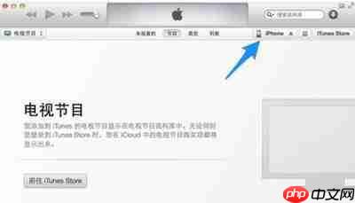 todesk听不到对方电脑声音怎么办