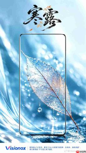 iQOO Neo 12官宣本月发布，主动散热风扇+双芯架构性能越级对标旗舰