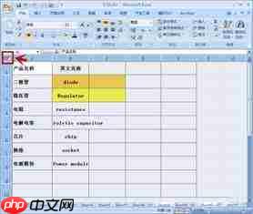 excel2007格式刷怎么用