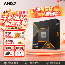 双十一战未来装机：AMD 锐龙5 9600X搭配单通道DDR5内存