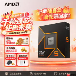 双十一战未来装机：AMD 锐龙5 9600X搭配单通道DDR5内存