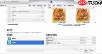 ipad文件app怎么切换图标列表和分栏视图