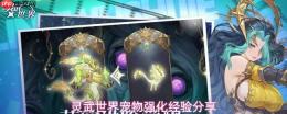 灵武世界：宠物强化详解与经验分享