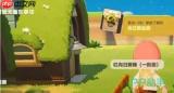 星布谷地怎么抓守宫