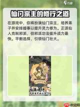 仙界大掌门护法怎么养成