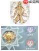 碧海苍云录瑶光是什么角色
