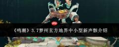 鸣潮3.7梦州玄方地界中小型新声骸表现如何及介绍