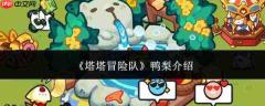 塔塔冒险队中的鸭梨情况及介绍