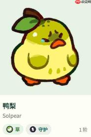塔塔冒险队中的鸭梨情况及介绍
