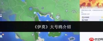 伊莫大号鸥好不好 大号鸥详情介绍