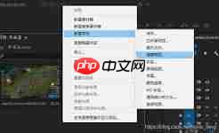Pr如何给视频做马赛克处理