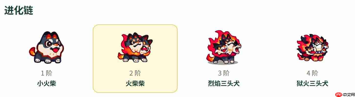 塔塔冒险队中的火柴柴如何?火柴柴详情介绍