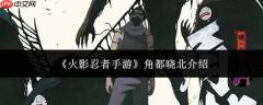 火影忍者手游里的角都晓北表现如何及介绍