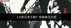 火影忍者手游里的角都晓北表现如何及介绍