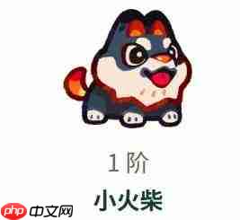塔塔冒险队中的小火柴如何?小火柴详情介绍