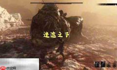 致命躯壳2迷途之子怎么打 BOSS迷途之子打法攻略