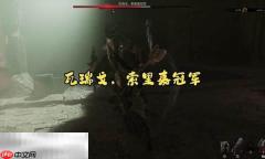 致命躯壳2瓦瑞戈索里嘉冠军怎么打 BOSS瓦瑞戈索里嘉冠军打法攻略