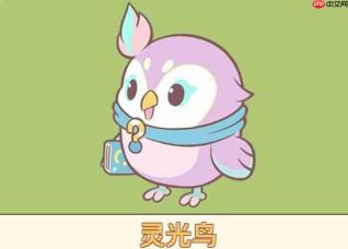 闪耀吧噜咪:灵光鸟玩法全解析