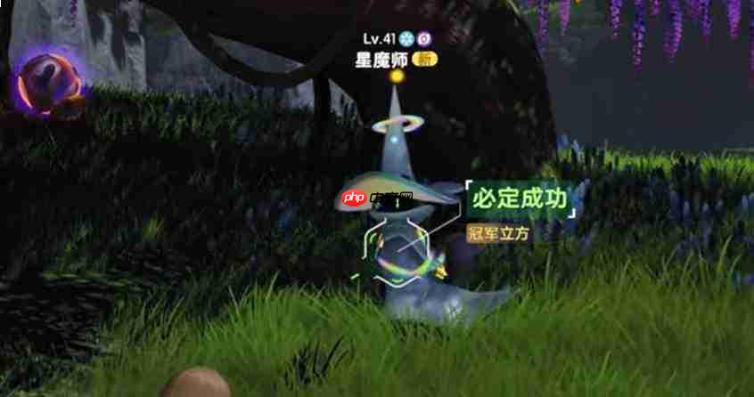 伊莫营地商人详情介绍