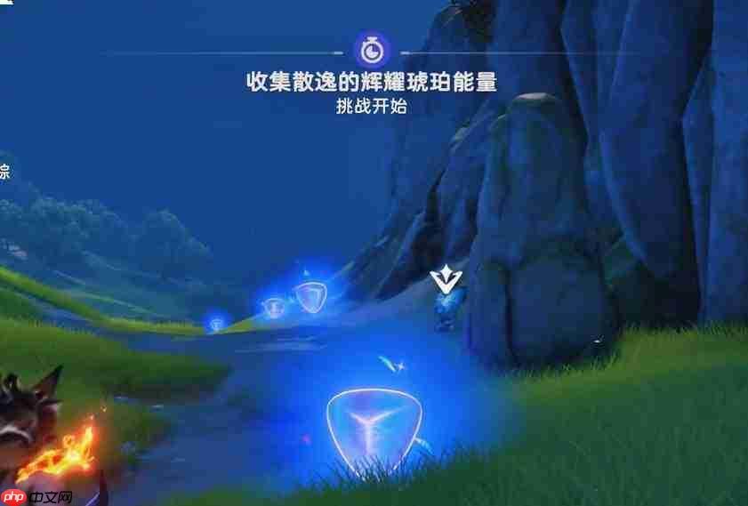 伊莫辉耀琥珀作用及介绍