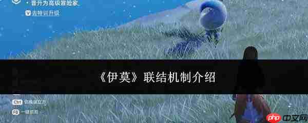 伊莫联结机制详解:它是如何运作的