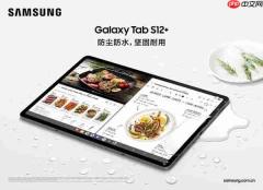 今年双11平板电脑怎么选？推荐入手三星Galaxy Tab S12系列