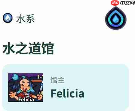 塔塔冒险队道馆玩法攻略详解