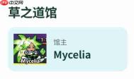 塔塔冒险队道馆玩法攻略详解