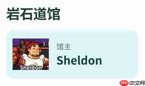 塔塔冒险队道馆玩法攻略详解