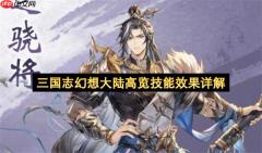 三国志幻想大陆高览技能效果全面解读
