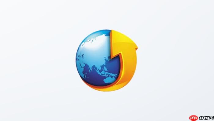 tt浏览器pc端网页版入口_电脑在线使用网址
