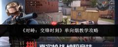 对峙交锋时单向烟使用教学攻略