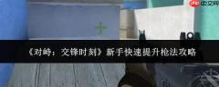 对峙交锋时新手如何迅速提升枪法攻略