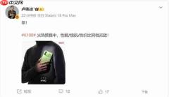 2999元实力尬吹?卢伟冰:REDMI K100性价比同档无敌