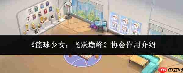 篮球少女飞跃巅峰协会的作用详解