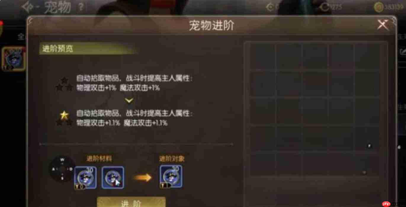 龙之谷启程:宠物技能搭配方法与攻略