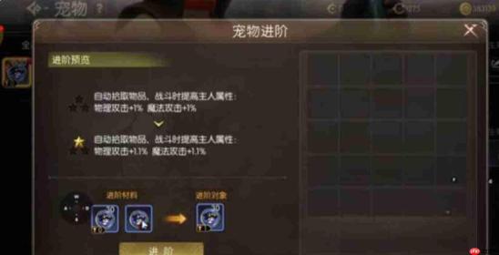 龙之谷启程:宠物技能搭配方法与攻略